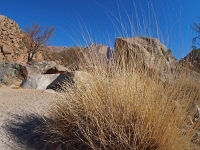 p6232035 1  namibia_2016