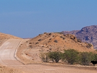 p6240091 1  namibia_2016