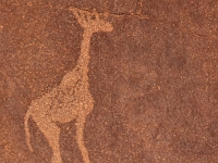 p6240106 1  Twyfelfontein