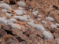 p6240113 1  namibia_2016