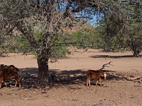 p6242056 1  namibia_2016
