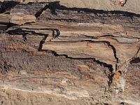 p6242123 1  steinerner Wald