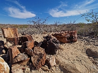 p6242124 1  steinerner Wald