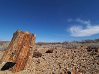 p6242135 1  steinerner Wald