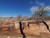 p6242136 1  steinerner Wald