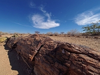 p6242141 1  steinerner Wald