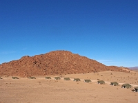 p6181686 1  Dessert Qiuver Camp