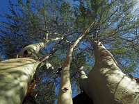 p6130050 1  Gaestefarm