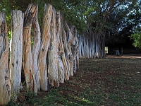 p6130052 1  Gaestefarm