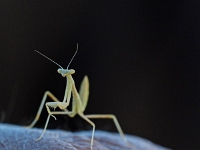 p6130104 1  abendliche Fahrt in den Sonnenuntergang