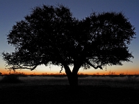 p6130127 1  abendliche Fahrt in den Sonnenuntergang