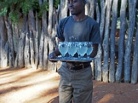 p6131312 1  Begruessung