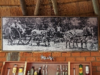 p6131321 1  Gaestefarm