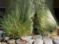 p6131350 1  Gaestefarm