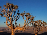 p6140201 1  fish river lodge