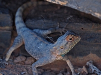 p6150285 1  auf dem Weg nach oben