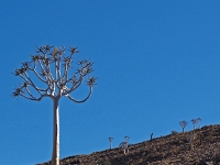 p6150290 1  auf dem Weg nach oben