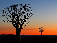 p6150310 1  abends bei der Lodge