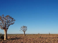 p6151440 1  fish river lodge