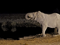 p6250402 1  namibia_2016