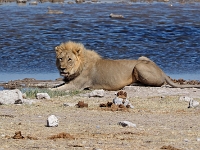 p6260480 1  namibia_2016