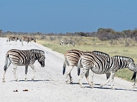 p6262353 1  namibia_2016