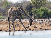 p6270651 1  namibia_2016