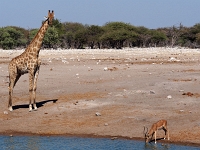 p6272407 1  namibia_2016