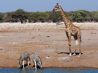 p6272410 1  namibia_2016