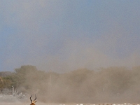 p6272411 1  namibia_2016