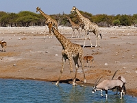 p6272421 1  namibia_2016