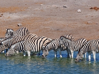 p6272439 1  namibia_2016