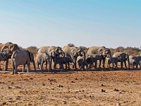 p6272467 1  namibia_2016