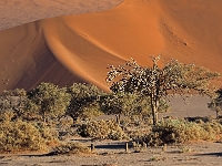 p6190115 1  namibia_2016