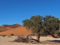 p6190128 1  namibia_2016