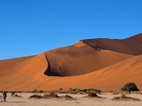 p6190129 1  Aufstieg zum Big Daddy