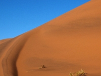 p6190143 1  Aufstieg zum Big Daddy