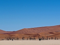 p6190175 1  Deadvlei