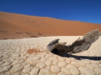 p6190186 1  Deadvlei
