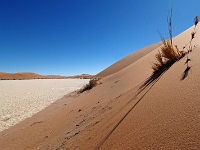 p6190191 1  Deadvlei