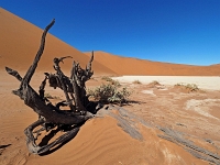 p6190194 1  Deadvlei