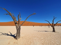 p6190201 1  Deadvlei