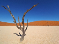 p6190202 1  Deadvlei