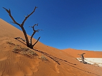 p6190205 1  Deadvlei