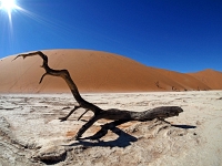 p6190209 1  Deadvlei