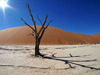 p6190210 1  Deadvlei