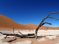 p6190214 1  Deadvlei