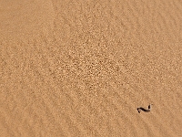 p6210379 1  namibia_2016