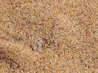 p6210381 1  namibia_2016