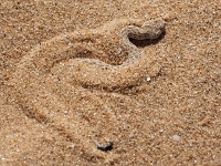 p6210384 1  namibia_2016